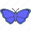 butterfly, insect, violet, wings 