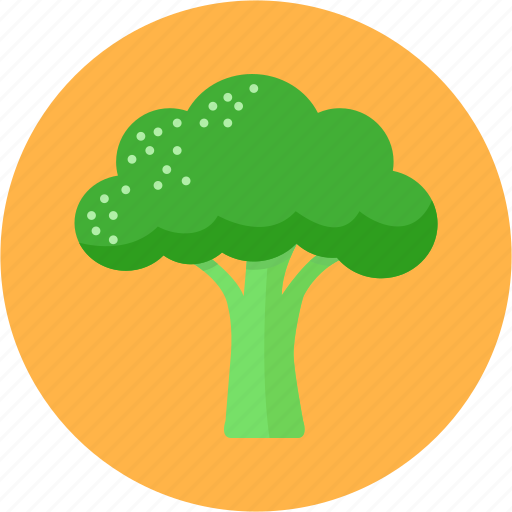 Broccoli, cook, diet, greens, health, vegetable icon - Download on Iconfinder