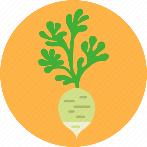 Cook, daikon, diet, greens, health, vegetable, white radish icon - Download on Iconfinder
