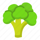 broccoli, healthy, vegetable