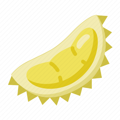 Local, durian, fruit icon - Download on Iconfinder