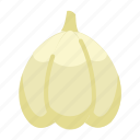 garlic, vegetable