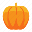 halloween, pumpkin, fruit