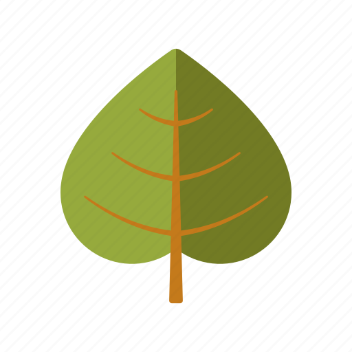 Botany, leaf, linden, nature, plant, tree icon - Download on Iconfinder