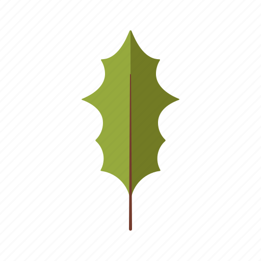 Botany, holly, leaf, nature, plant, tree icon - Download on Iconfinder