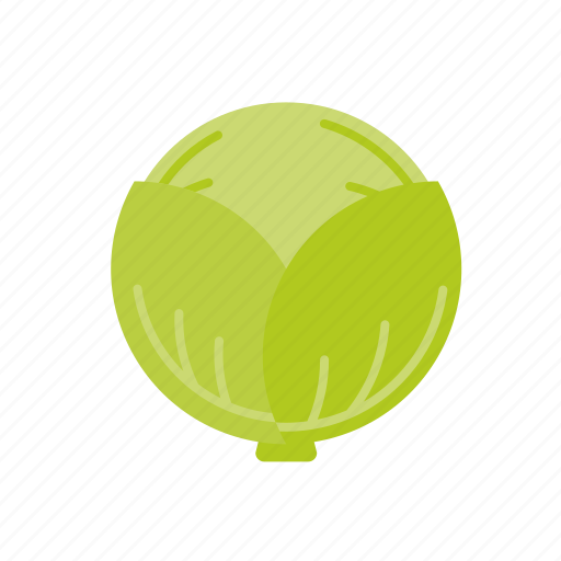 Cabbage, food, vegetable, white icon - Download on Iconfinder