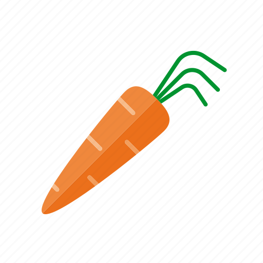 Carrot, food, vegetable, freshness, healthy eating icon - Download on Iconfinder