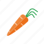 carrot, food, vegetable, freshness, healthy eating 