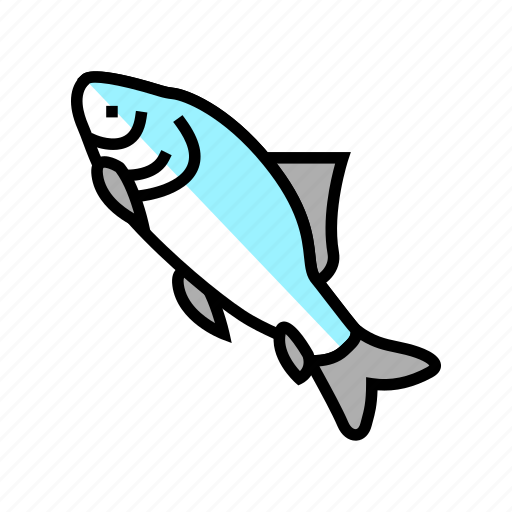 Catla, fish, commercial, fishing, aquaculture, japanese icon - Download on Iconfinder