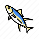 yellowfin, tuna, commercial, fishing, aquaculture, japanese