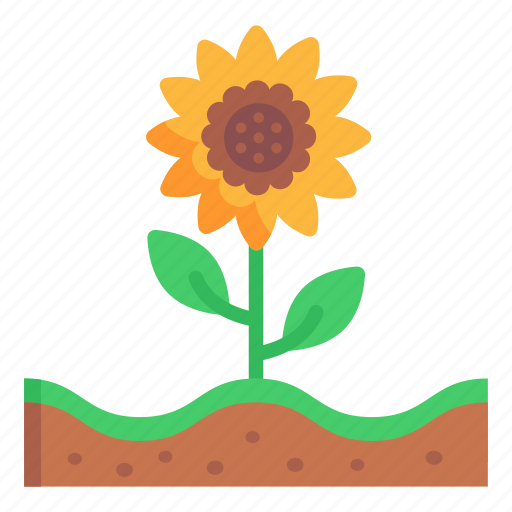 Flower, floral, sunflower, helianthus, nature icon - Download on Iconfinder