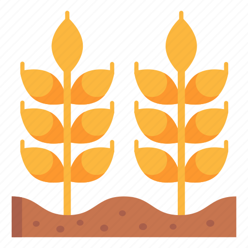 Barleys, wheat, cultivation, harvest, grain icon - Download on Iconfinder