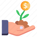 money plant, sprout, money growth, financial growth, investment