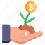 money plant, sprout, money growth, financial growth, investment 