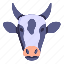 cattle, cow, animal, cow head, dairy
