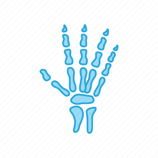 Bones, hand, medical, ray, x icon - Download on Iconfinder