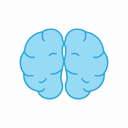 Anatomy, brain, mind icon - Download on Iconfinder