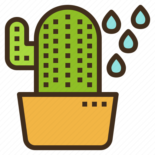 Cactus, gardening, plant, succulent, watering icon - Download on Iconfinder