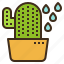 cactus, gardening, plant, succulent, watering 