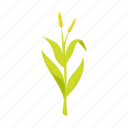 corn, food, leaf, plant, stem, swing, vegetable