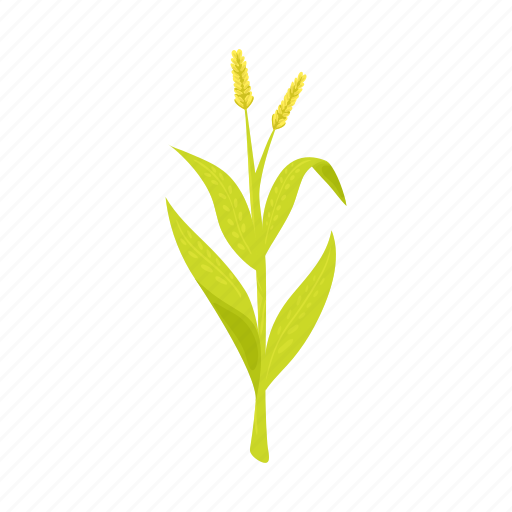 Corn, food, leaf, plant, stem, swing, vegetable icon - Download on Iconfinder