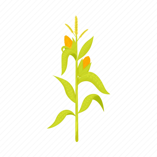 Corn, food, leaves, plant, stem, swing, vegetable icon - Download on Iconfinder