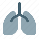 lungs, coronavirus, respiratory, virus