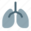 lungs, coronavirus, respiratory, virus 