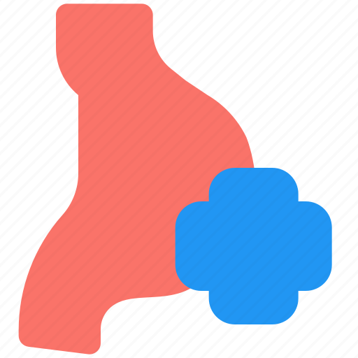 Stomach, health, coronavirus, healthy icon - Download on Iconfinder