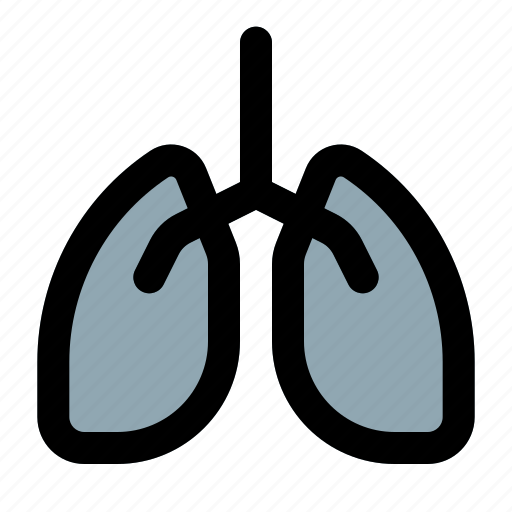 Lungs, respiratory, organ, coronavirus icon - Download on Iconfinder