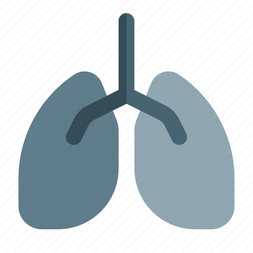 Lungs, coronavirus, respiratory, organ icon - Download on Iconfinder