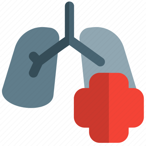 Lungs, health, coronavirus, respiratory icon - Download on Iconfinder