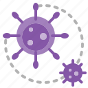 bacteria, corona virus, covid, disease, epidemic, infection, virus