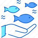 sdg, fish, below, water, hand 