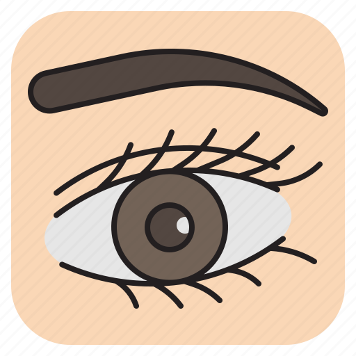 Eye, eyebrow, eyelash, eyeliner, eyelid, biology, ophthalmology icon - Download on Iconfinder