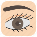eye, eyebrow, eyelash, eyeliner, eyelid, biology, ophthalmology 