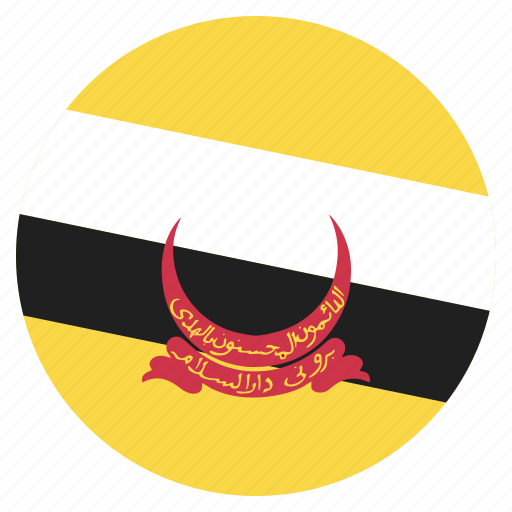 Brunei, country, flag, location, nation, navigation, pin icon - Download on Iconfinder