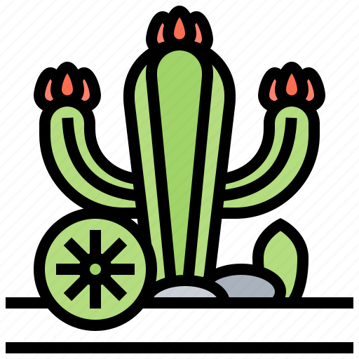 Arid, cactus, desert, plant, wilderness icon - Download on Iconfinder