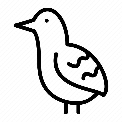 Bird, creatures, quail icon - Download on Iconfinder