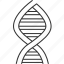 dna, gene, chromosome, medical, biological 