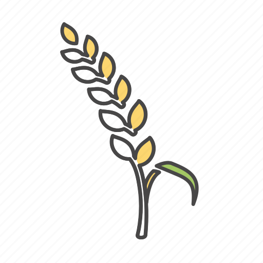Crops, rice, wheat, vegetable, organic icon - Download on Iconfinder
