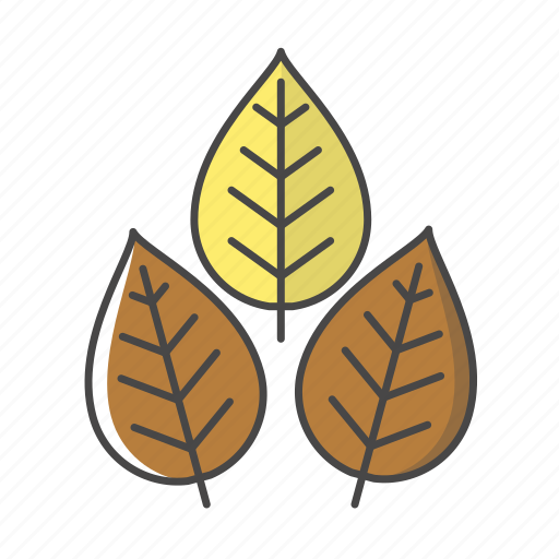 Crops, tobacco, leaf, leaves, tea icon - Download on Iconfinder
