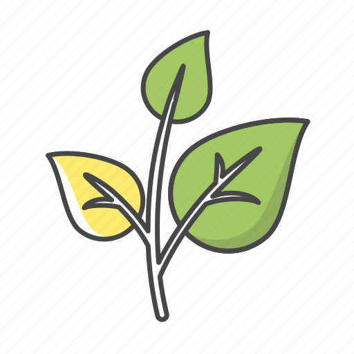 Crops, spinach, leaf, tea, plant icon - Download on Iconfinder