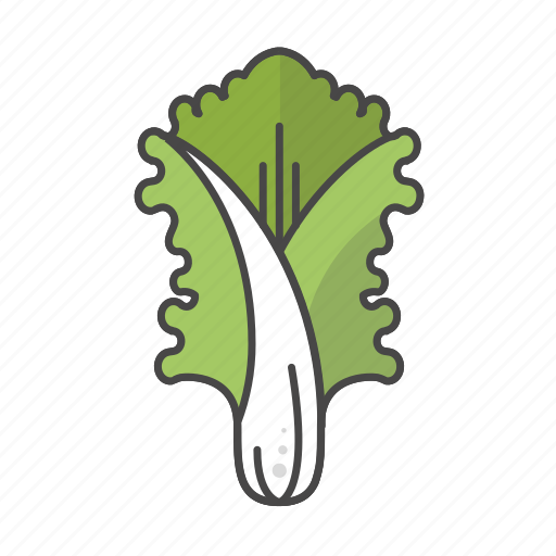 Crops, cabbage, cauliflower, vegetable, leaf, healthy icon - Download on Iconfinder