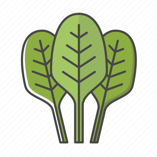 Crops, spinach, kale, leaf, vegetable icon - Download on Iconfinder