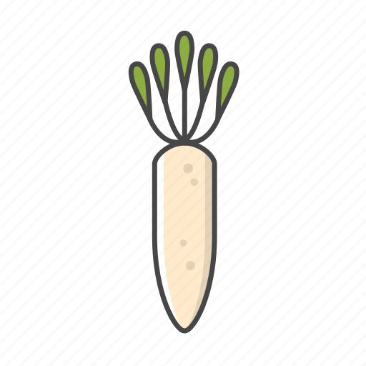 Crops, radish, white radish, beet, vegetable icon - Download on Iconfinder