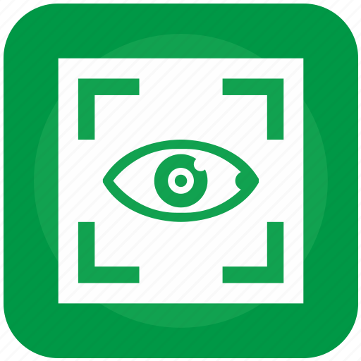 Biometry, eye, frame, scanner, care, clinic, health icon - Download on Iconfinder