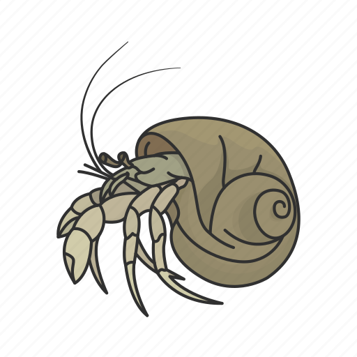 Animal, caribean hermit crab, crustacean, hermit crab, sea snail, seashell icon - Download on Iconfinder