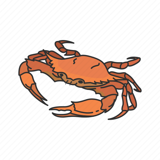Animal, blue rab, chesapeake blue crab, crab, crustacean, sea creature icon - Download on Iconfinder