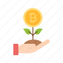seed, sprout, growth, investment, bitcoin